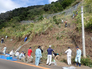 外来植物の防除2