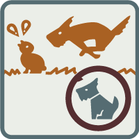 ネコやイヌなどのペットを置き去りにしないようにしましょう図