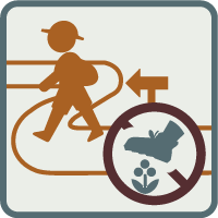 観察路のあるところではコースをはずれてはいけません図