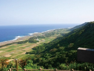 喜界島の高台から