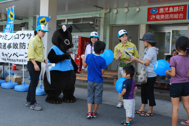 アマミノクロウサギ交通事故防止キャンペーン写真