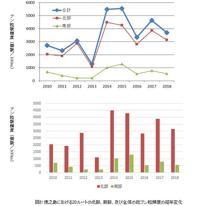 糞塊調査 徳之島