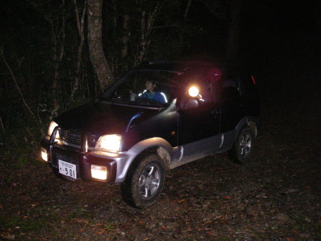 アマミヤマシギを探す写真