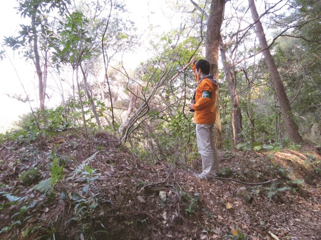 電波を受信しながらアマミヤマシギのいる場所を特定する写真