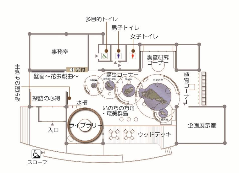 センター配置図
