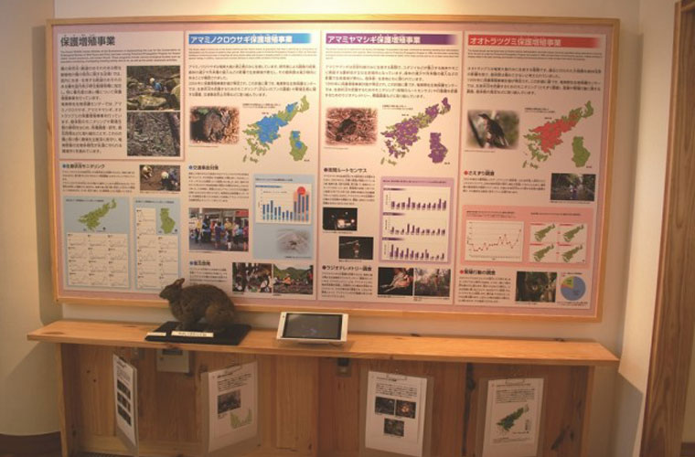 調査研究コーナー