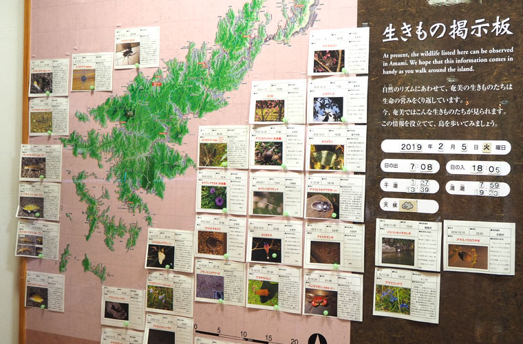 生きもの掲示板