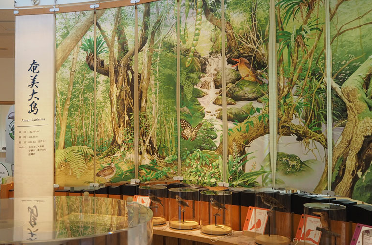 いのちの方舟 奄美群島