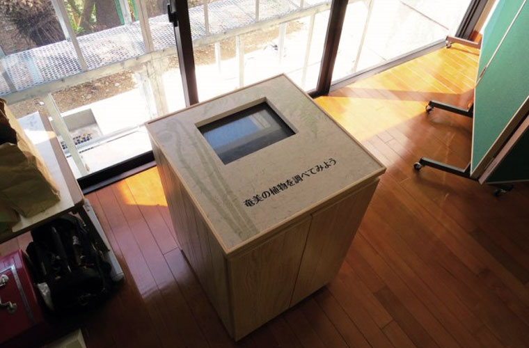 奄美群島の植物を調べることができます