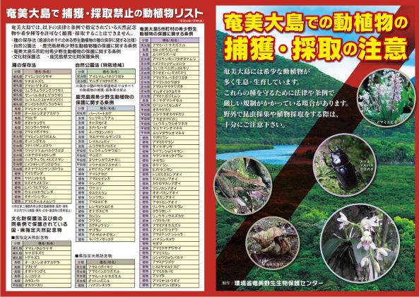 奄美大島での動植物の捕獲・採取の注意