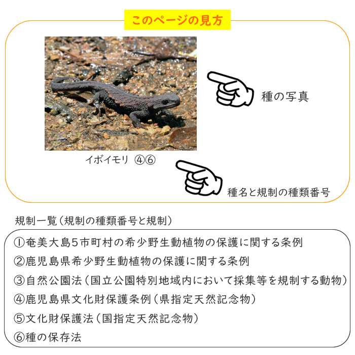 このページの見方