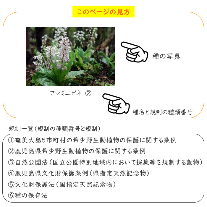 このページの見方