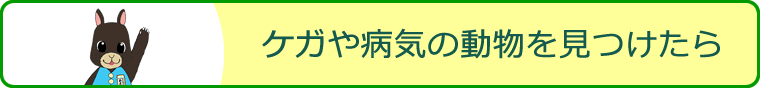死体、傷病個体の発見ページへのリンク