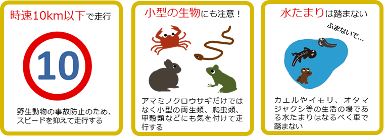 夜間の野生動物観察ルール1