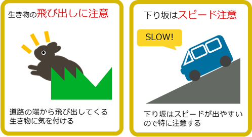 夜間の野生動物観察ルール2