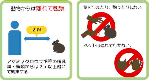 夜間の野生動物観察ルール3