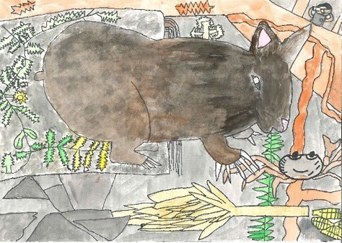 夜中にあらわれるクロウサギ