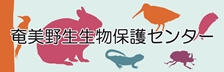 奄美野生生物保護センター(リンク)