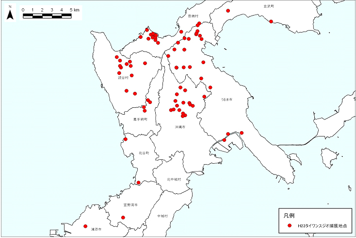 平成23年度に買い上げられたタイワンスジオの捕獲地点