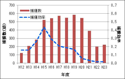 図２．SFライン以北のマングースの捕獲数と捕獲効率の年度別推移（環境省と沖縄県）※捕獲効率＝捕獲数/捕獲努力量×100
