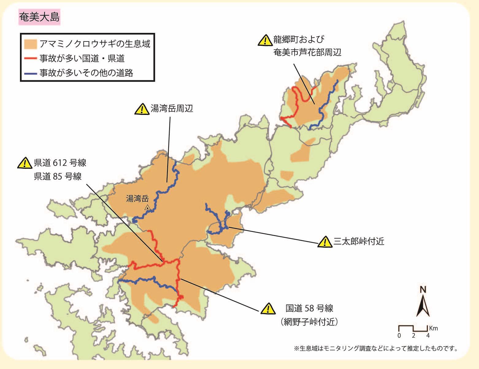 アマミノクロウサギの交通事故が多い道路