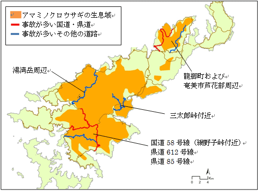 アマミノクロウサギの交通事故が多い道路