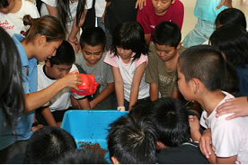 森で海を考える実施風景