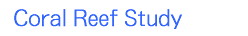 サンゴ礁学習プログラム Coral Reef Study