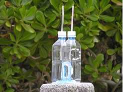 浸透圧実験装置